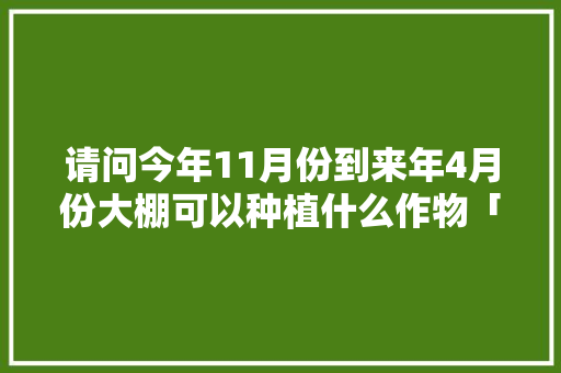 请问今年11月份到来年4月份大棚可以种植什么作物「水培菜花番茄怎么种植视频」