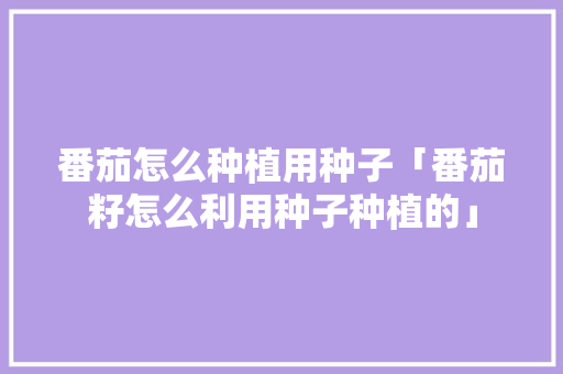 番茄怎么种植用种子「番茄籽怎么利用种子种植的」 番茄怎么种植用种子「番茄籽怎么利用种子种植的」 番茄种植技巧