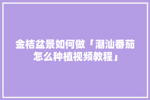 金桔盆景如何做「潮汕番茄怎么种植视频教程」