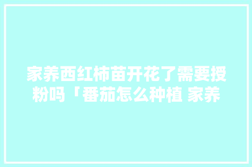 家养西红柿苗开花了需要授粉吗「番茄怎么种植 家养的好」