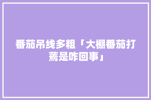 番茄吊线多粗「大棚番茄打蔫是咋回事」