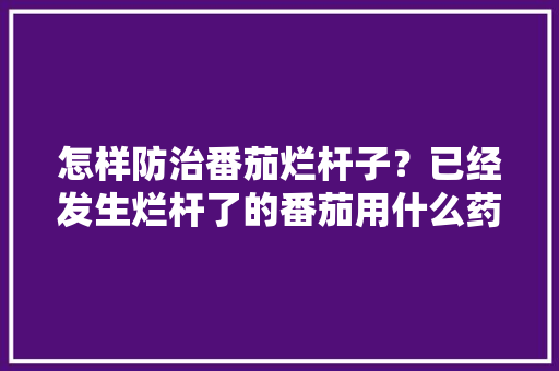 怎样防治番茄烂杆子?已经发生烂杆了的番茄用什么药物涂抹比较好「番茄杆怎么种植的图片大全」 番茄种植技巧 怎样防治番茄烂杆子?已经发生烂杆了的番茄用什么药物涂抹比较好「番茄杆怎么种植的图片大全」 怎样防治番茄烂杆子?已经发生烂杆了的番茄用什么药物涂抹比较好「番茄杆怎么种植的图片大全」 番茄种植技巧