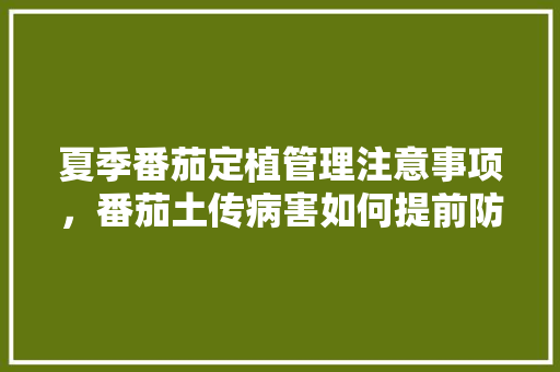 夏季番茄定植管理注意事项，番茄土传病害如何提前防治「番茄种子秋播怎么种植视频」 夏季番茄定植管理注意事项，番茄土传病害如何提前防治「番茄种子秋播怎么种植视频」 花朵知识