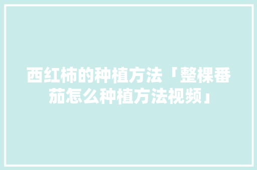 西红柿的种植方法「整棵番茄怎么种植方法视频」