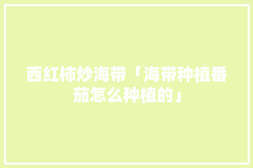 西红柿炒海带「海带种植番茄怎么种植的」