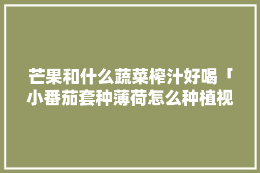 芒果和什么蔬菜榨汁好喝「小番茄套种薄荷怎么种植视频」