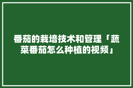 番茄的栽培技术和管理「蔬菜番茄怎么种植的视频」
