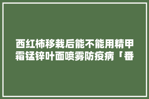 西红柿移栽后能不能用精甲霜锰锌叶面喷雾防疫病「番茄防疫期间怎么种植的」
