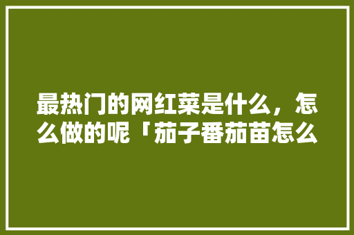最热门的网红菜是什么，怎么做的呢「茄子番茄苗怎么种植视频教程」