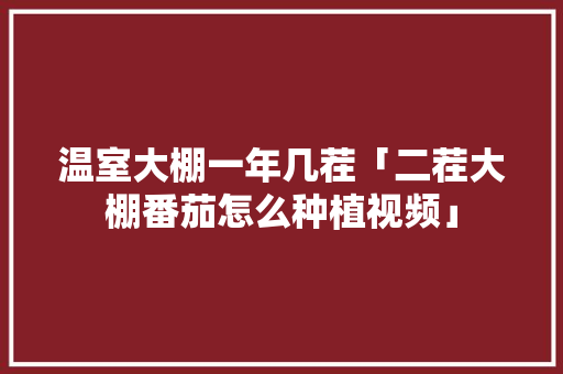 温室大棚一年几茬「二茬大棚番茄怎么种植视频」