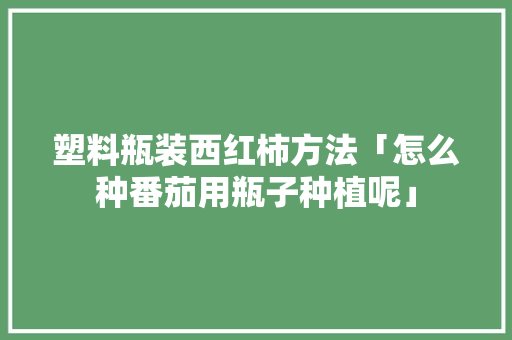 塑料瓶装西红柿方法「怎么种番茄用瓶子种植呢」