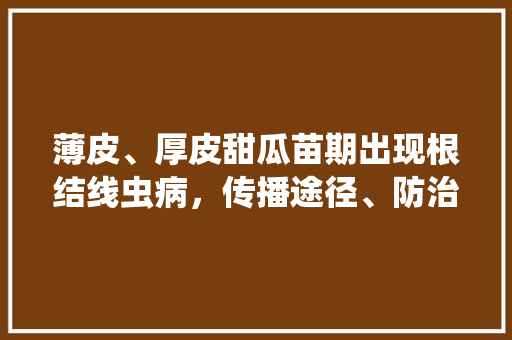 薄皮、厚皮甜瓜苗期出现根结线虫病，传播途径、防治措施有哪些「串珠樱桃番茄怎么种植视频」
