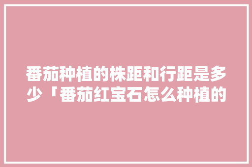 番茄种植的株距和行距是多少「番茄红宝石怎么种植的视频」 番茄种植的株距和行距是多少「番茄红宝石怎么种植的视频」 农业常识