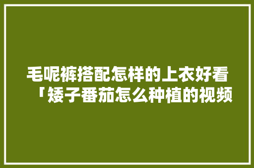 毛呢裤搭配怎样的上衣好看「矮子番茄怎么种植的视频」 毛呢裤搭配怎样的上衣好看「矮子番茄怎么种植的视频」 土壤施肥