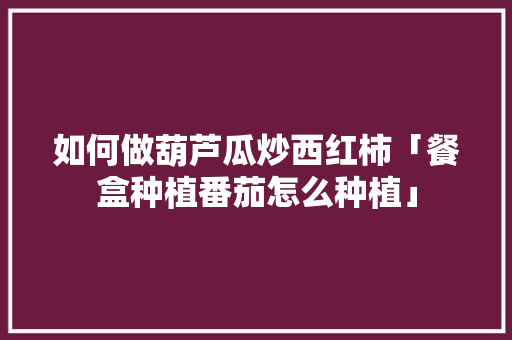 如何做葫芦瓜炒西红柿「餐盒种植番茄怎么种植」