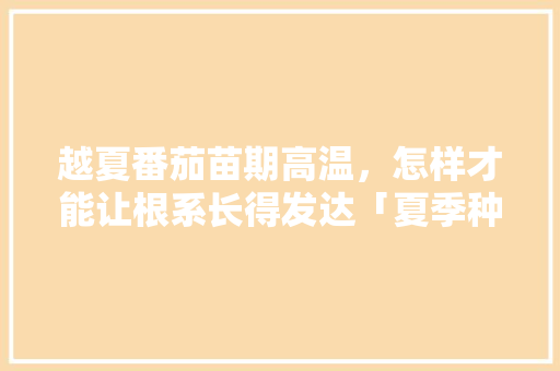 越夏番茄苗期高温，怎样才能让根系长得发达「夏季种番茄」 越夏番茄苗期高温，怎样才能让根系长得发达「夏季种番茄」 番茄种植技巧