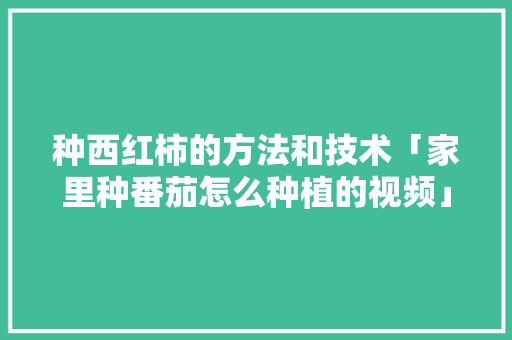 种西红柿的方法和技术「家里种番茄怎么种植的视频」 种植技巧