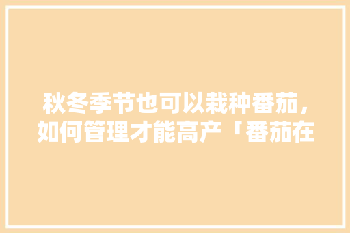 秋冬季节也可以栽种番茄,如何管理才能高产「番茄在冬天怎么种植视频」 番茄病虫害防治 秋冬季节也可以栽种番茄,如何管理才能高产「番茄在冬天怎么种植视频」 秋冬季节也可以栽种番茄,如何管理才能高产「番茄在冬天怎么种植视频」 番茄病虫害防治