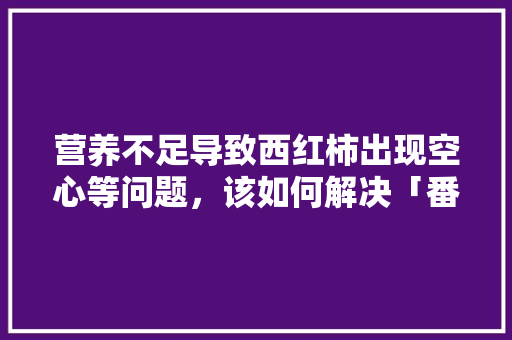 营养不足导致西红柿出现空心等问题，该如何解决「番茄种植空心怎么办视频」