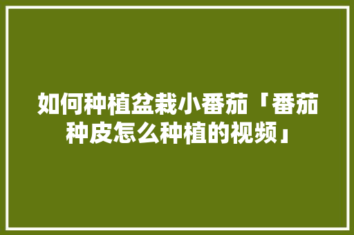 如何种植盆栽小番茄「番茄种皮怎么种植的视频」 如何种植盆栽小番茄「番茄种皮怎么种植的视频」 番茄种植技巧