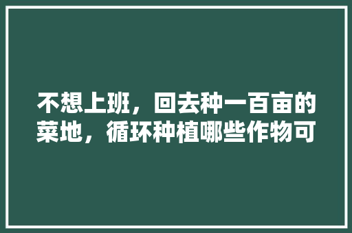 不想上班，回去种一百亩的菜地，循环种植哪些作物可以收入高「蔬菜种植速成技巧图片大全」 不想上班，回去种一百亩的菜地，循环种植哪些作物可以收入高「蔬菜种植速成技巧图片大全」 番茄种植技巧