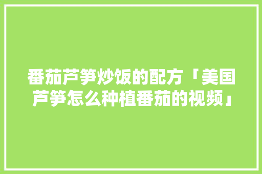 番茄芦笋炒饭的配方「美国芦笋怎么种植番茄的视频」