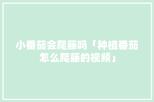 小番茄会爬藤吗「种植番茄怎么爬藤的视频」