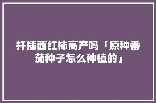 扦插西红柿高产吗「原种番茄种子怎么种植的」