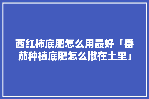 西红柿底肥怎么用最好「番茄种植底肥怎么撒在土里」 西红柿底肥怎么用最好「番茄种植底肥怎么撒在土里」 农业常识
