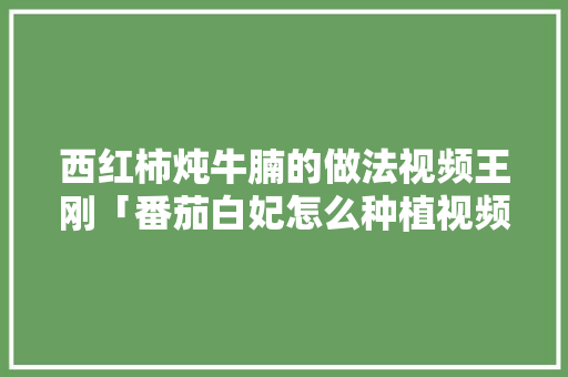 西红柿炖牛腩的做法视频王刚「番茄白妃怎么种植视频教程」 西红柿炖牛腩的做法视频王刚「番茄白妃怎么种植视频教程」 番茄种植技巧