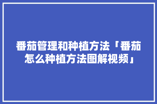 番茄管理和种植方法「番茄怎么种植方法图解视频」 番茄管理和种植方法「番茄怎么种植方法图解视频」 农业常识