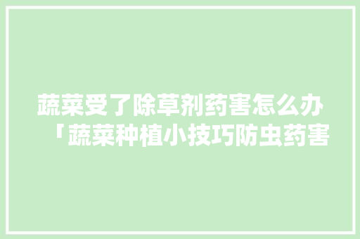蔬菜受了除草剂药害怎么办「蔬菜种植小技巧防虫药害视频」 蔬菜受了除草剂药害怎么办「蔬菜种植小技巧防虫药害视频」 番茄病虫害防治