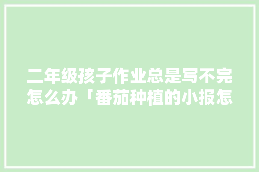 二年级孩子作业总是写不完怎么办「番茄种植的小报怎么写内容」 二年级孩子作业总是写不完怎么办「番茄种植的小报怎么写内容」 番茄种植技巧