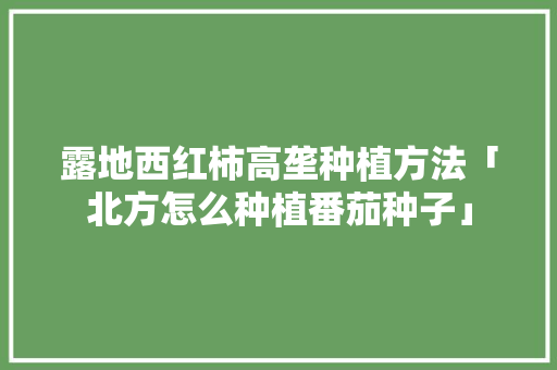 露地西红柿高垄种植方法「北方怎么种植番茄种子」 露地西红柿高垄种植方法「北方怎么种植番茄种子」 农业常识
