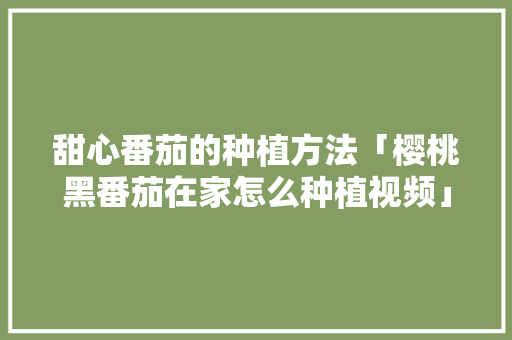 甜心番茄的种植方法「樱桃黑番茄在家怎么种植视频」 甜心番茄的种植方法「樱桃黑番茄在家怎么种植视频」 种植技巧