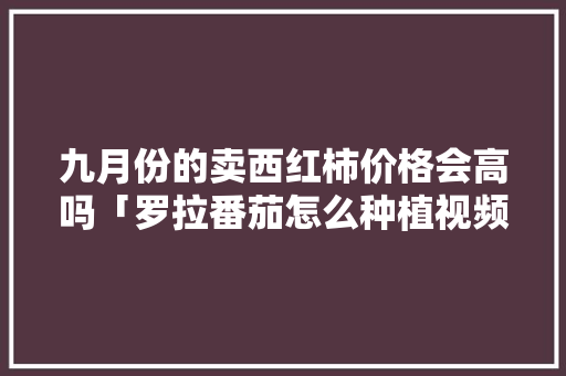 九月份的卖西红柿价格会高吗「罗拉番茄怎么种植视频」