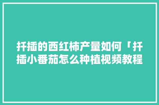 扦插的西红柿产量如何「扦插小番茄怎么种植视频教程」 扦插的西红柿产量如何「扦插小番茄怎么种植视频教程」 农业常识
