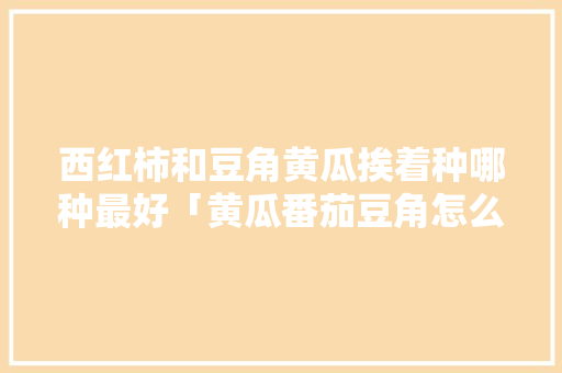 西红柿和豆角黄瓜挨着种哪种最好「黄瓜番茄豆角怎么种植视频」