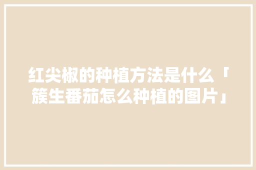 红尖椒的种植方法是什么「簇生番茄怎么种植的图片」 红尖椒的种植方法是什么「簇生番茄怎么种植的图片」 番茄病虫害防治