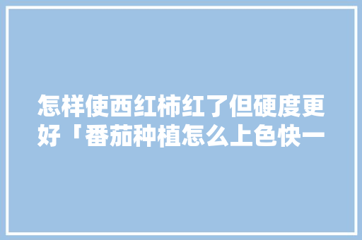 怎样使西红柿红了但硬度更好「番茄种植怎么上色快一点」 怎样使西红柿红了但硬度更好「番茄种植怎么上色快一点」 农业常识