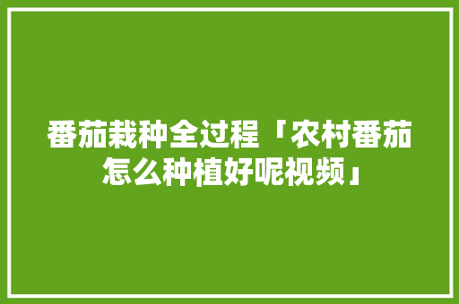 番茄栽种全过程「农村番茄怎么种植好呢视频」 番茄栽种全过程「农村番茄怎么种植好呢视频」 植物种类