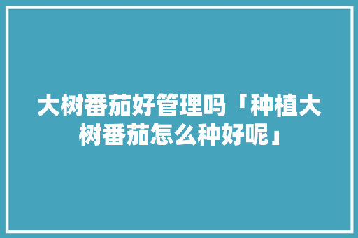 大树番茄好管理吗「种植大树番茄怎么种好呢」 大树番茄好管理吗「种植大树番茄怎么种好呢」 农业常识