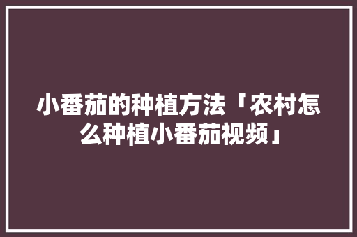 小番茄的种植方法「农村怎么种植小番茄视频」 小番茄的种植方法「农村怎么种植小番茄视频」 农业常识