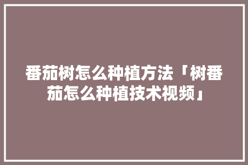 番茄树怎么种植方法「树番茄怎么种植技术视频」 番茄树怎么种植方法「树番茄怎么种植技术视频」 番茄种植技巧