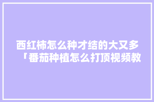 西红柿怎么种才结的大又多「番茄种植怎么打顶视频教程」 西红柿怎么种才结的大又多「番茄种植怎么打顶视频教程」 番茄种植技巧