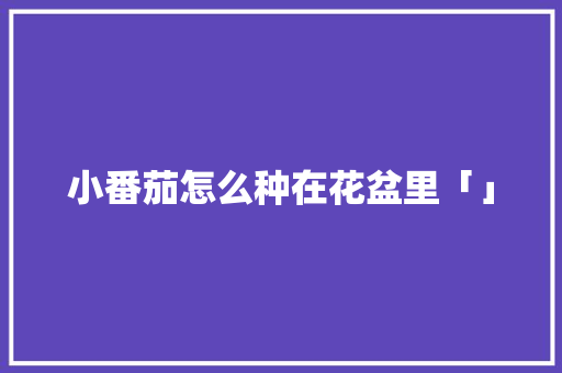 小番茄怎么种在花盆里「」 小番茄怎么种在花盆里「」 番茄种植技巧