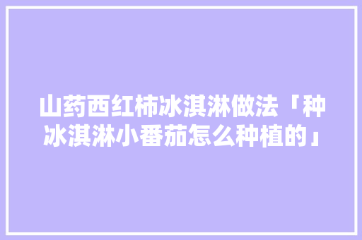 山药西红柿冰淇淋做法「种冰淇淋小番茄怎么种植的」