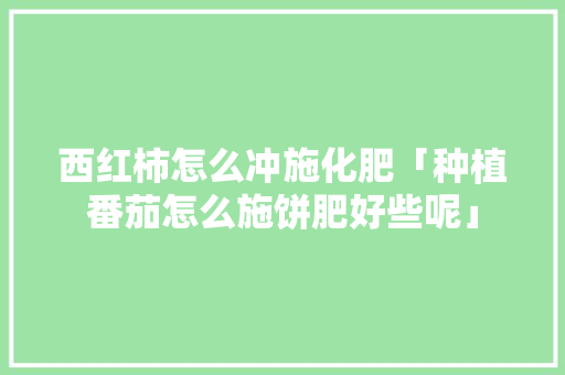 西红柿怎么冲施化肥「种植番茄怎么施饼肥好些呢」