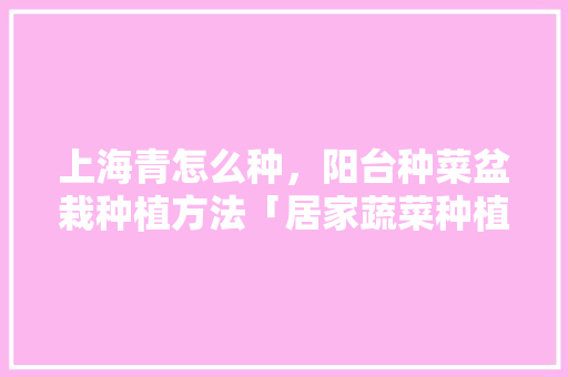 上海青怎么种，阳台种菜盆栽种植方法「居家蔬菜种植技巧和方法视频」