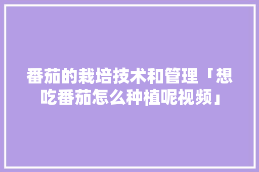 番茄的栽培技术和管理「想吃番茄怎么种植呢视频」